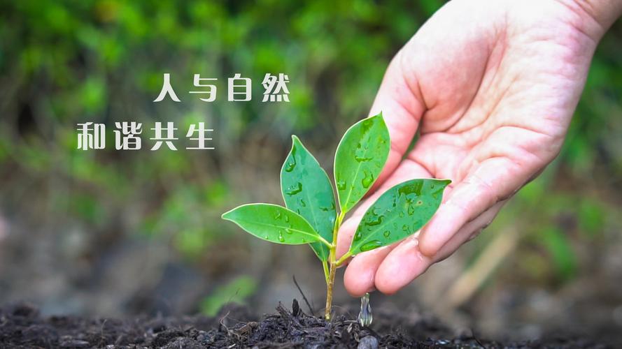 安博电竞·(anbo)(中国)-全球当先的电较量事平台